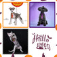 20PCS Pumpkin Print Adjustable Dog Bow Ties Collars Halloween Dog Accessories Puppy Neckties For Dogs and Cats Supplies Bulk