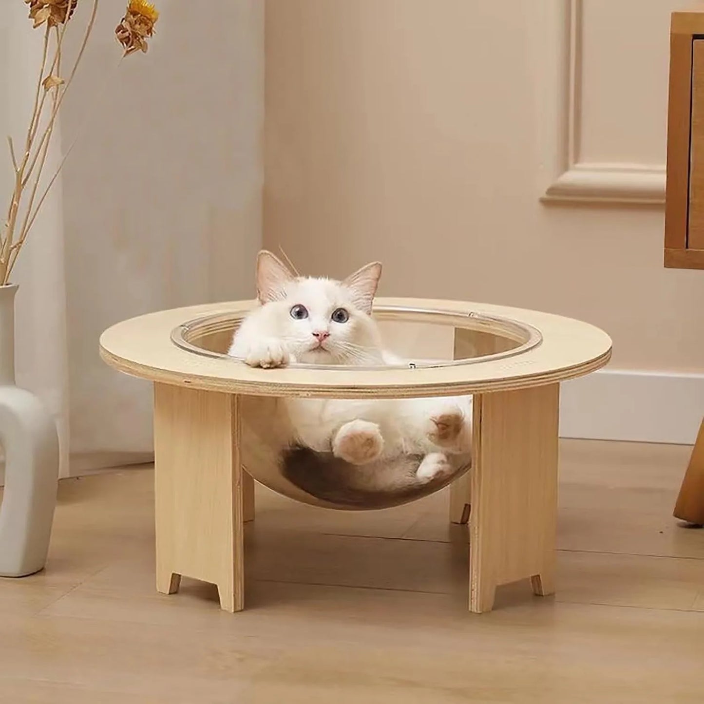 Space Capsule Cat Bed, Transparent Acrylic Pet Pod with 44lb Capacity & Anti-Slip Wooden Legs, Elevated Design for Pet Use