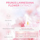 5/3pcs/Set Sakura Skin Care Sets Face Cream Serum Toner Facial Cleanser Sunscreen Eye Cream Gift Box Face Skin Care Set Product